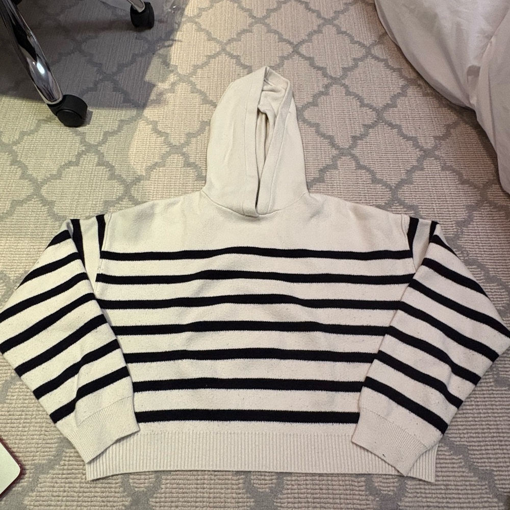 Zara Striped Sweater/Hoodie